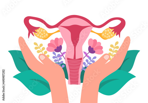 Hands support female reproductive system womb and uterus. Care of female health. Feminine menopause gynecology. photo