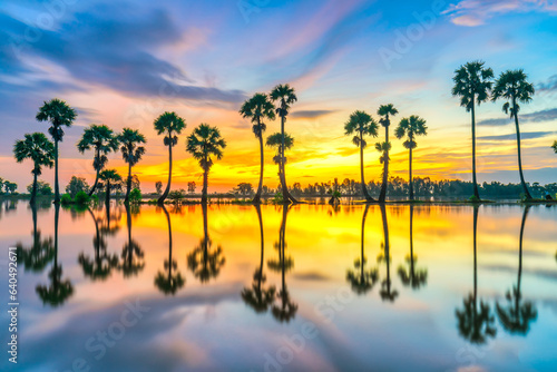 Beautiful landscape of nature with dramatic cloudscape, row of palm trees in silhouette reflect on the surface water of the river at sunrise © huythoai