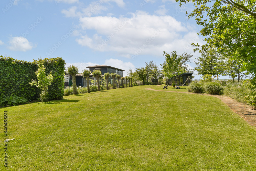 an outdoor area with green grass, trees and blue sky in the photo is taken from behind it on a sunny day