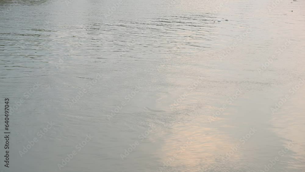 shiny reflection of the sun in the water, closeup surface of the river on sunny day, slowmotion scene shiny reflection of the sun in the water, closeup surface of the river on sunny day, slowmotion scene