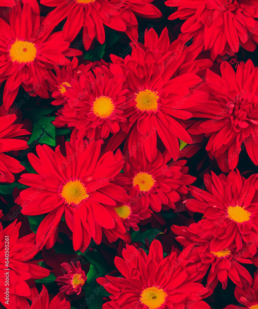 Red flowers decorative wallpaper background Red flowers decorative wallpaper background