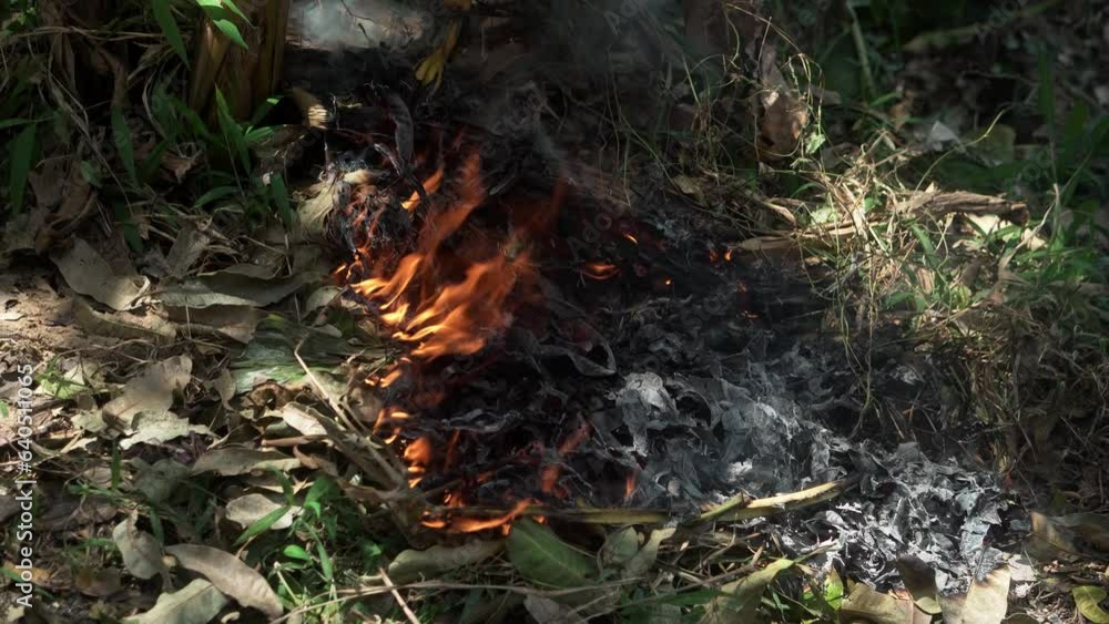 Fire Burns with moving flames and smoke Fire Burns with moving flames and smoke