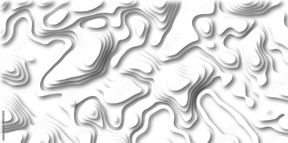 Abstract wavy line 3d paper cut white background. Topographic canyon geometric map relief texture with curved layers and shadow. paper cut 3d render topography abstract ,beautiful white color.