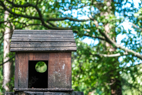 Feeder for birds and squirrels in the forest on a summer day.