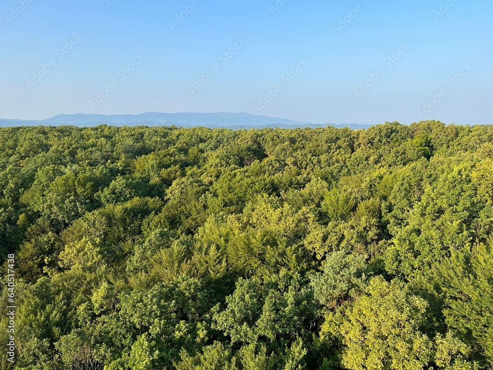 View of forests, fields, villages and Zagorje hills, during a panoramic balloon flight over Croatian Zagorje - Croatia (Panoramski let balonom iznad Hrvatskog zagorja - Hrvatska)