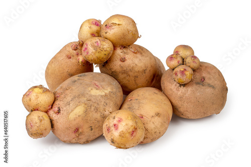 A lot of non-standard ugly potato tubers. Potato overgrowth. Potato tubers on a white background. photo