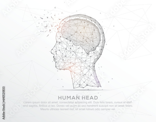 Human head abstract mash line and composition digitally drawn in the form of broken a part triangle shape and scattered dots.