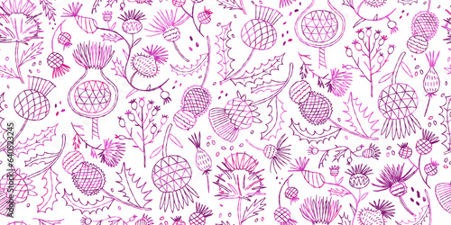 Milk Thistle flowers. Silymarin. Vector botanical illustration. Seamless patt...
