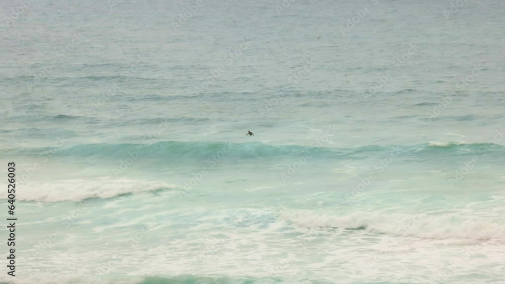Hand-held shot of 2 surfers sitting waiting on waves to catch at Fistral beach, Newquay Hand-held shot of 2 surfers sitting waiting on waves to catch at Fistral beach, Newquay