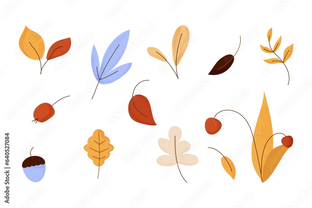 Watercolor autumn leaf, tree branches, acorn, berries, colorful foliage set. Fall leaves, plant elements bundle. Modern botanical collection. Flat vector illustration isolated on white background