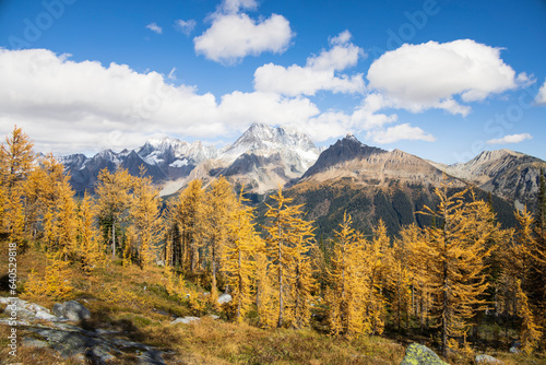 Jumbo Pass in Fall, British Columbia Canada