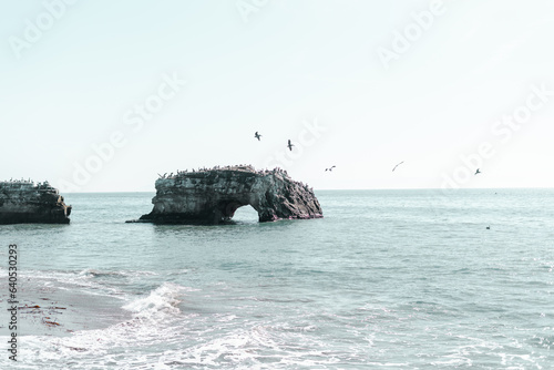 Birds flying over an ocean rock formation in California