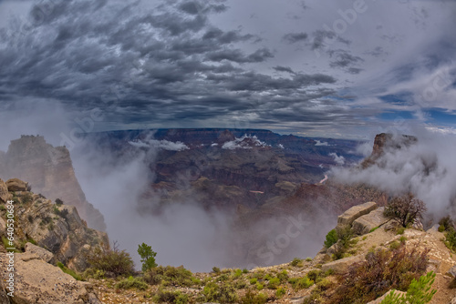 Grand Canyon Moran Point in the Mist