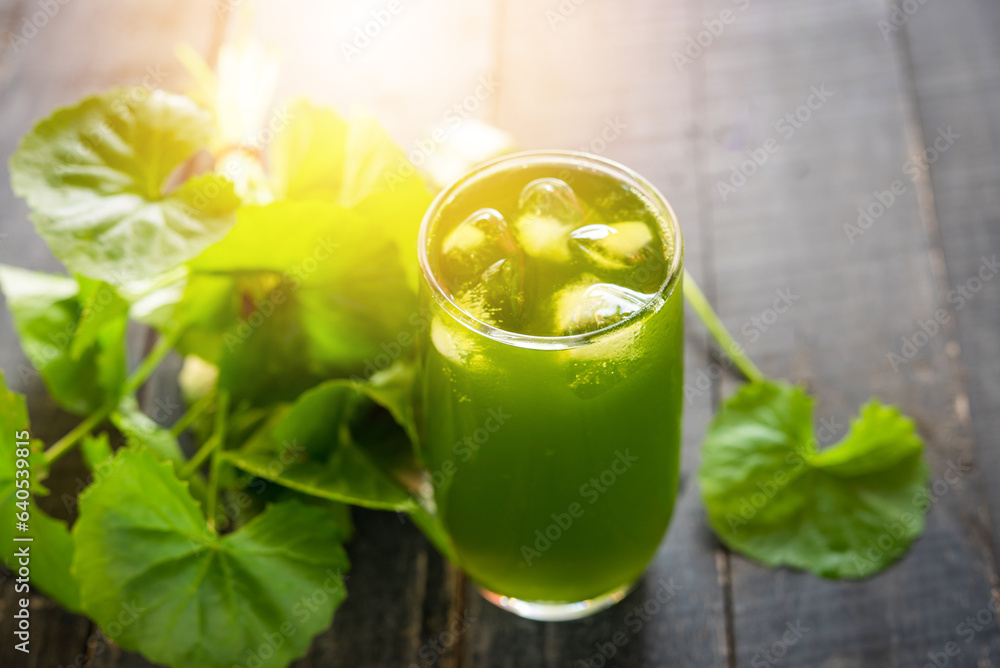 Gotu kola juice, Centella asiatica drink, Asiatic Pennywort on wood background Gotu kola juice, Centella asiatica drink, Asiatic Pennywort on wood background