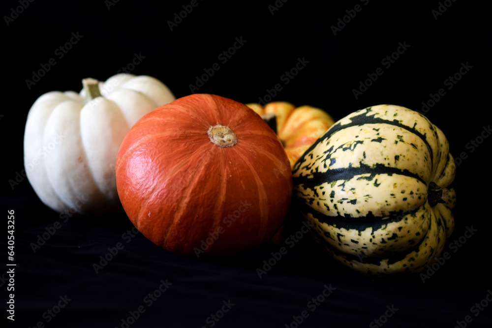 Colorful pumpkins stacked on black background