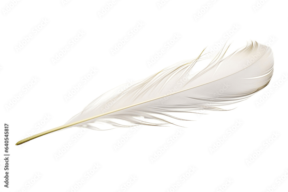 Quill on Transparent Background, Ai
