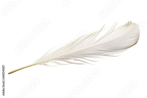 Quill on Transparent Background, Ai