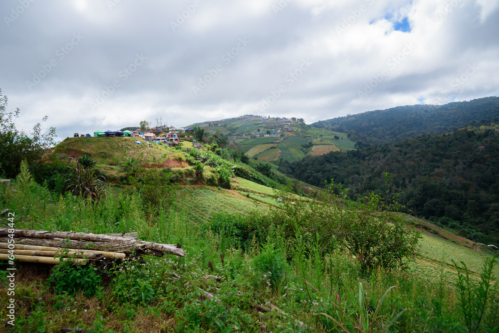 Obraz premium Landscape mountain view at Phu thap boek hill, Thailand