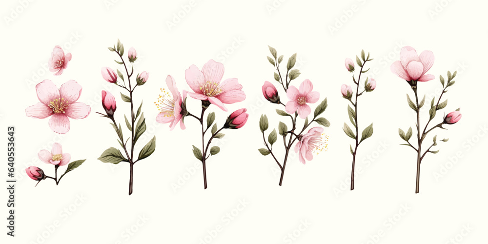 pink flowers isolated on white
