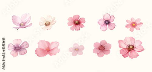 set of pink flowers