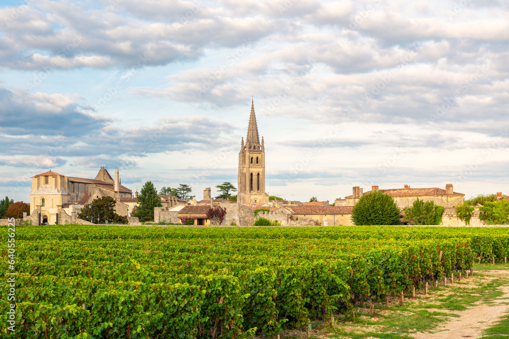 Vineyards of Saint Emilion, Bordeaux, Gironde, France. Medieval church in old town and rows of vine on a grape field. Wine industry