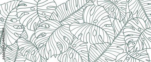 Tropical leaf line art wallpaper background vector. Natural monstera leaves pattern design in minimalist linear contour simple style. Design for fabric, print, cover, banner, decoration.