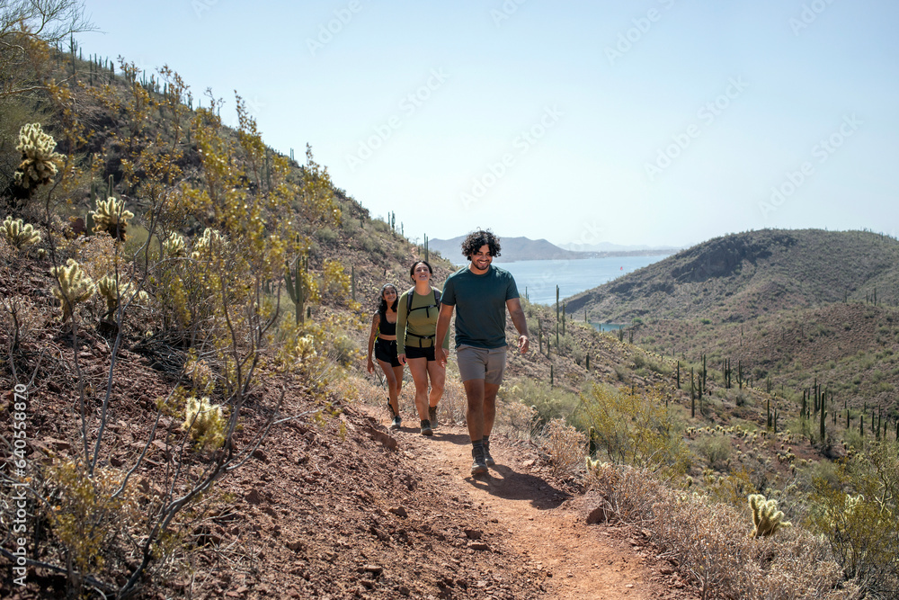 Hikers walking hilly path lake in background Hikers walking hilly path lake in background