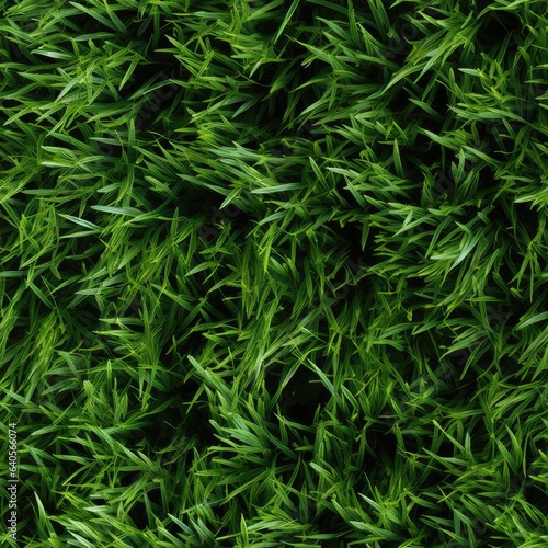 Grass top view, seamless texture
