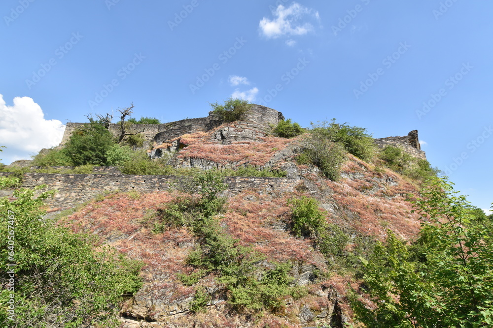 Burgruine Schmidtburg