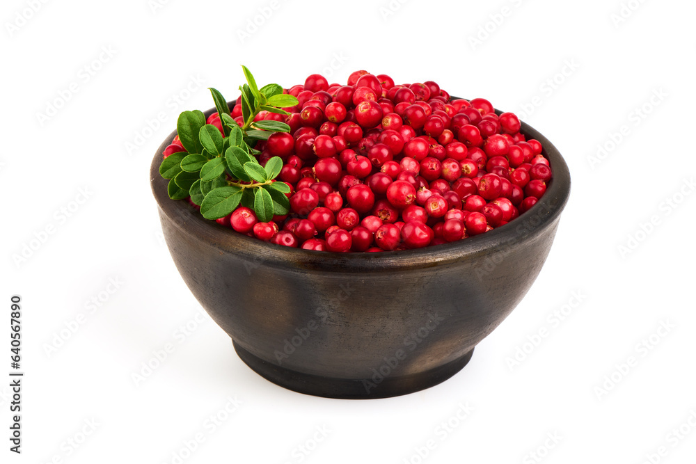 Lingonberries in a pot, isolated on white background. Lingonberries in a pot, isolated on white background.