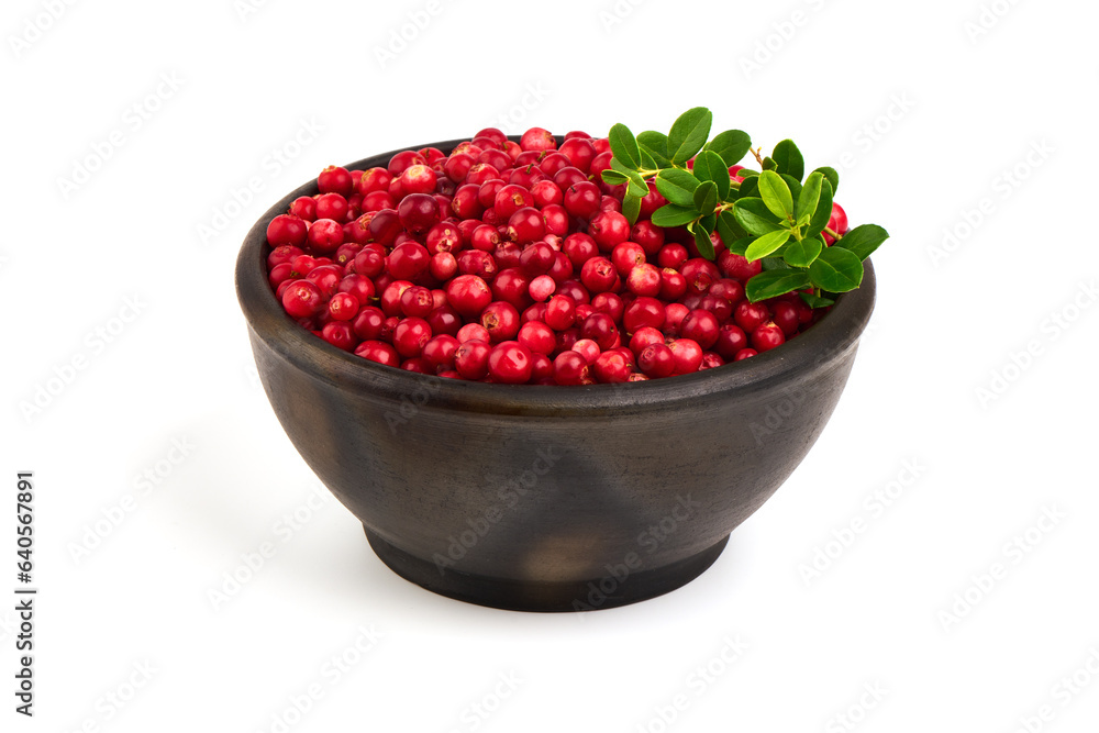 Lingonberries in a pot, isolated on white background. Lingonberries in a pot, isolated on white background.