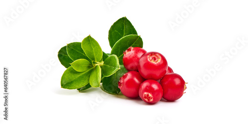 Foto Fresh wild lingonberry berries with leaves, isolated on white background
