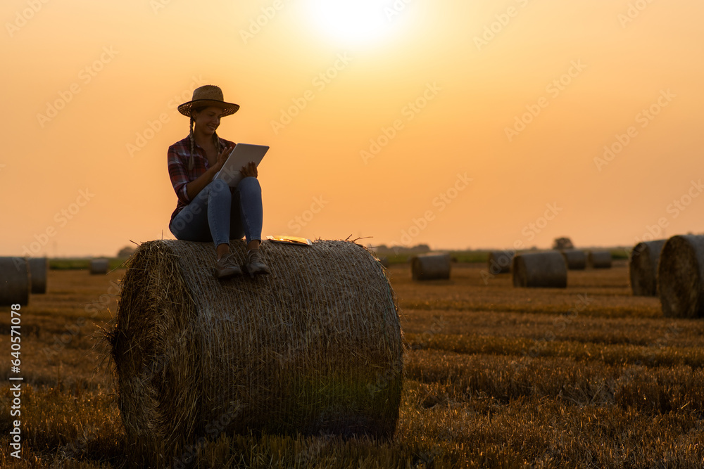 Female farmer inspects lush straw fields, taking a break, she sits on a bale, enjoying peaceful sunset. Female farmer inspects lush straw fields, taking a break, she sits on a bale, enjoying peaceful sunset.