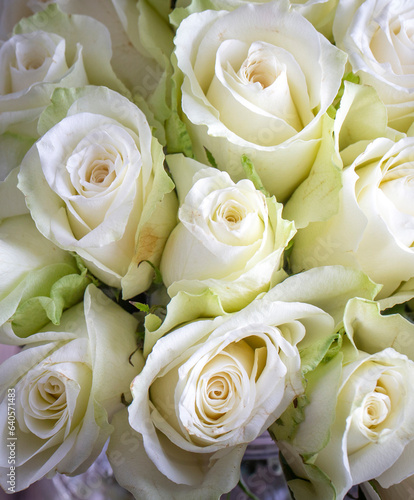 White roses on the wooden background