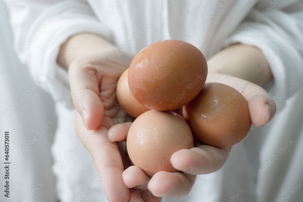 A person holding eggs in hand, Person holding eggs for commercial purpose A person holding eggs in hand, Person holding eggs for commercial purpose