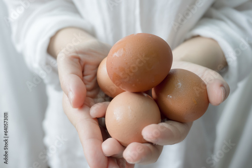 A person holding eggs in hand, Person holding eggs for commercial purpose © ammij