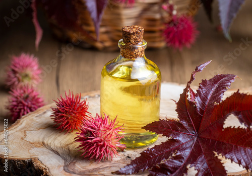 Obraz na płótnie Castor oil bottle with castor fruits, seeds and leaf. Ricinus Communis plant oil. w salonie