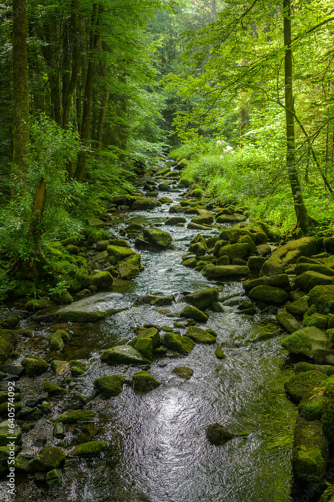 Obraz premium Bachlauf in der Saußbachklamm 222123.jpg