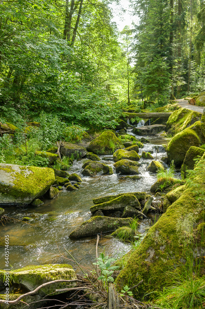 Bachlauf in der Saußbachklamm 224923.jpg