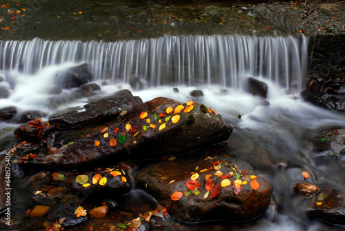 Leaves with fall colors on the rocks of a river next to a small waterfall