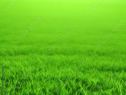 green grass field