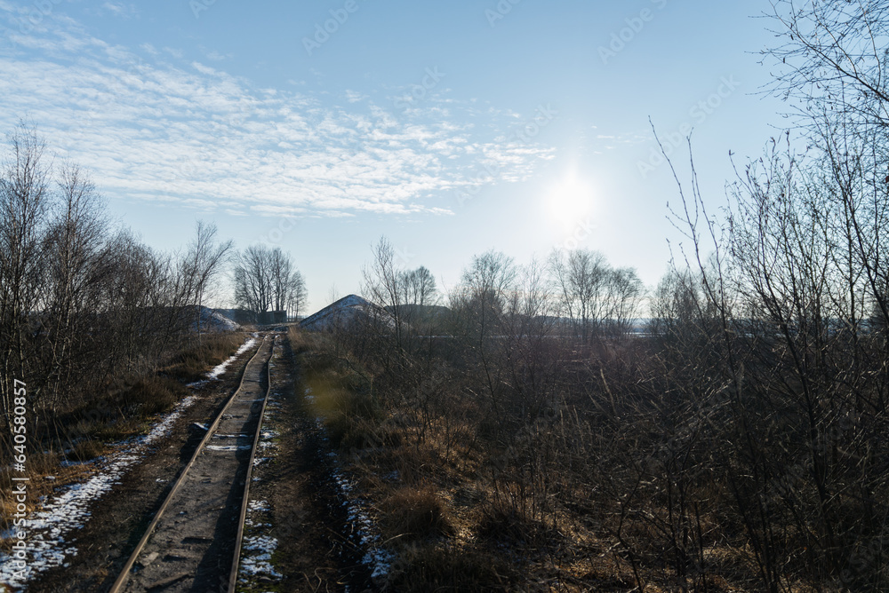 Fototapeta premium Moor im Winter