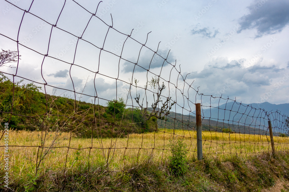Enclosed farmland on Uttarakhand hills, India, secured by protective fencing. Preservation amidst serene landscapes.