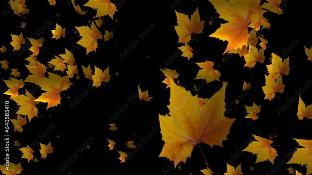 Savor the serene ambiance of autumn with our slow motion animation, where leaves fall like soft whispers from nature. Savor the serene ambiance of autumn with our slow motion animation, where leaves fall like soft whispers from nature.