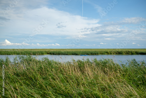 Wolin National Park with its coves and grasslands full of reed. photo