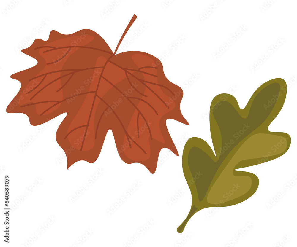 Naklejka premium leaf 