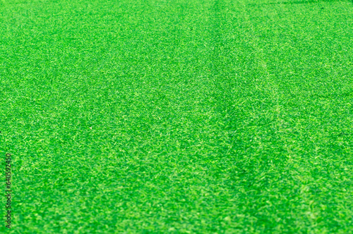 green grass texture background