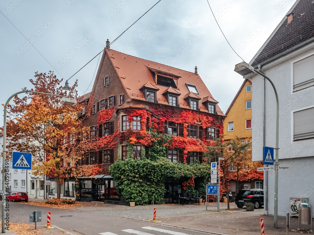 Beautiful house in colourful autumn ivy in Ulm (Germany)