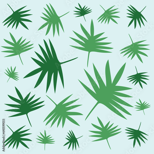 palm tree leaves vector illustration