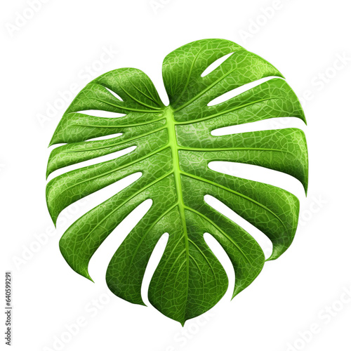 Monstera leaf isolated on transparent background, Generative ai
